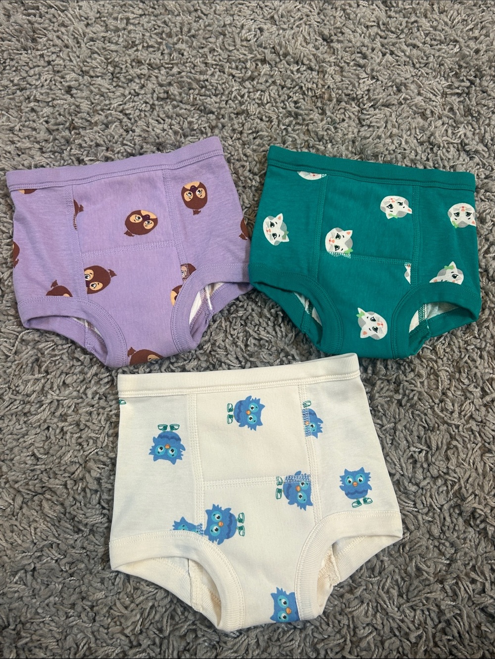 Hanna Andersson Daniel Tiger Training Pants / Underwear